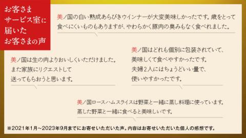 【 お歳暮 熨斗付 】 日本ハム 美ノ国 ギフトセットA 肉 にく 贈答 ギフト 詰め合わせ ハム 生ハム ロース ステーキ [AA073ci]