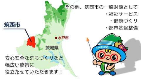 【返礼品なし】茨城県筑西市を 応援！ ＼ ちっくん ・ ちくせいフレンズグッズ プレゼント ／ 応援寄附金 2,000円 数量限定 期間限定 キャンペーン [ZZ006ci]