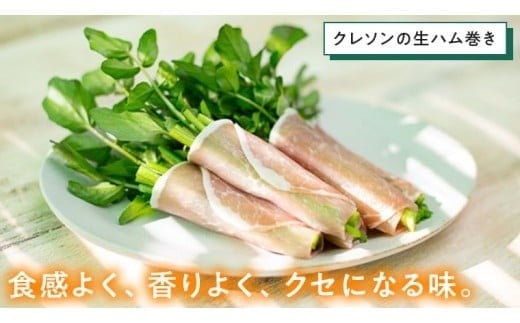 みくにクレソン100g×5袋 美容 健康 野菜 スーパーフード クレソン [CY001ci]