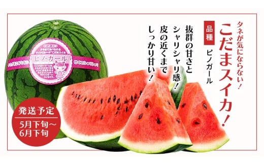 【 野菜ソムリエ 厳選 】 旬 の フルーツ 定期便 ( フルーツトマト スタート ) 4回 先行予約 果物 いちご イチゴ 苺 とちおとめ やよいひめ かおり野 すいか 小玉スイカ ピノガール トマト フルーツトマト メロン アールスメロン 新鮮 おすすめ ソムリエ 野菜 [AF095ci]