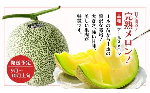 【 野菜ソムリエ 厳選 】 旬 の フルーツ 定期便 ( こだまスイカ スタート ) 4回 先行予約 果物 いちご イチゴ 苺 とちおとめ やよいひめ かおり野 すいか ピノガール トマト フルーツトマト メロン アールスメロン 新鮮 おすすめ ソムリエ 野菜 [AF101ci]