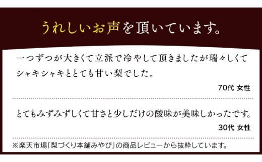 今一番人気 『 あきづき 』 5kg ( 自家用 ) 2026年産 先行予約 フルーツ 果物 国産 日本産 梨 ナシ なし 和梨 [DJ003ci]