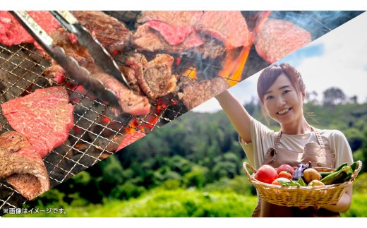 築120年の古民家民泊 風の家 ご宿泊 ( 元禄農園体験 ＆ BBQ 付) 4人 × 1泊 民泊 古民家 旅行 観光 宿泊 体験 農園 茨城 筑西市 トラベル 4名 [BY015ci]