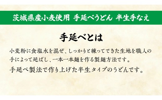 手延べうどん 半生手なえ 6袋 ( 12人前 ) 麺 めん 半生 [BE009ci]