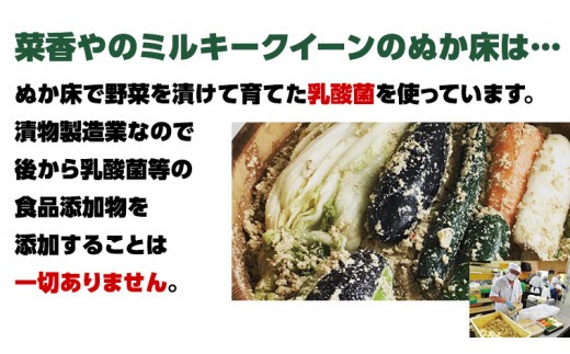 ミルキークイーン米 ぬか床 1.7kg ( SUGIDOCO 容器付き ) 米 お米 コメ こめ ミルキークイーン ぬか漬け ぬか ぬかどこ [BJ006ci]