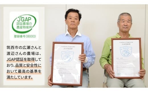 スピード発送!!【 JA 北つくば 】 JGAP認証 麦茶 1箱 ( 500ml × 24本 ) JGAP JA お茶 茶 ペットボトル 麦 大麦 二条大麦 ノンカフェイン カフェインゼロ スピード配送 [AE020ci]