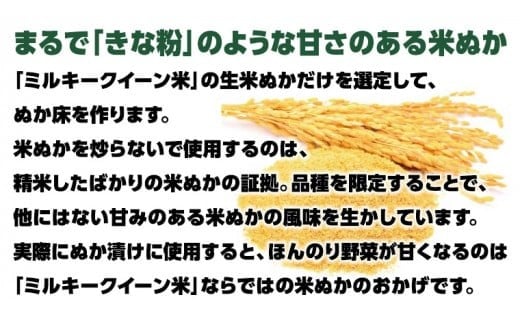 ミルキークイーン米 ぬか床 2kg ( タッパー容器付き ) 米 お米 コメ こめ ミルキークイーン ぬか漬け ぬか ぬかどこ [BJ005ci]