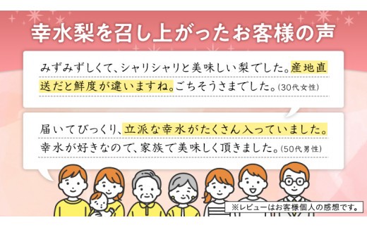 【 JA 北つくば 】 筑西ブランド 認証品 幸水 10kg 2026年産 先行予約 梨 果物 フルーツ なし ナシ 幸水梨 くだもの デザート 茨城 [AE009ci]