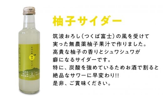 筑波山麓 クラフトサイダー 8本 セット （ 苺 4本 ・ 梨 2本 ・ 柚子 2本 ） サイダー いちご イチゴ なし ナシ 柚子 飲み比べ 飲みくらべ [BW008ci]
