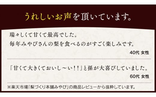極上の雫 『 豊水 』 5kg ( 自家用 ) 2026年産 先行予約 フルーツ 果物 国産 日本産 梨 ナシ なし 和梨 [DJ002ci]