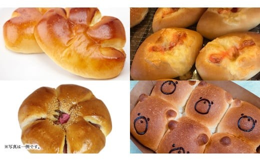 【 6ヶ月 定期便 】まごころいっぱい！ パン工房しらとり 「 種類いっぱい♪ 」 おたのしみパン ボックス 【B】 冷凍 パン 詰め合わせ ボックス ギフト お楽しみ [AU015ci]