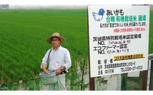 愛がも米 「 コシヒカリ 」 5kg ( 精米 ) 米 コメ こめ こしひかり 令和7年産 除草剤不使用 農薬不使用 化学肥料不使用 [AI002ci]