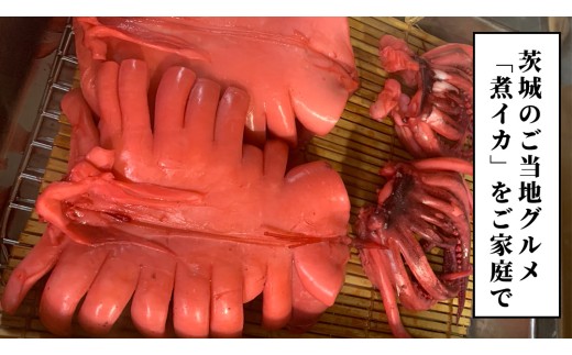 筑西市名物 煮イカ（三杯）いか 筑西 茨城 ソウルフード ご当地グルメ 名物 海鮮 魚介 冷凍 ［BW090ci］