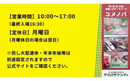 陸・海・空・宇宙の テーマパーク ユメノバ 入場券 （大人1枚） ザ・ヒロサワ・シティ チケット レジャー ヒロサワシティ お出かけ 夏休み 冬休み [DP009ci]