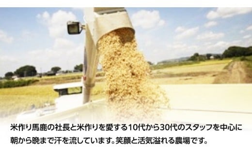 百笑米 の 華麗舞 使用！ もろみ酢 （ 720ml × 12本 ） 健康 酢 クエン酸 アミノ酸 ギャバ GAVA [AC027ci]