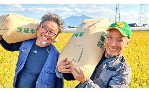 茨城県 筑西市産 コシヒカリ 精白米 10kg 令和7年産 単一原料米 精米 米 お米 コメ 白米 こしひかり 茨城県 [AF103ci]