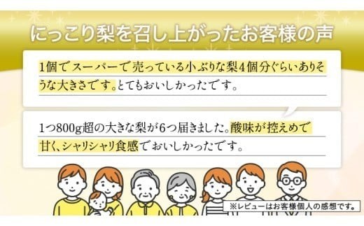 【 JA 北つくば 】 筑西ブランド 認証品 にっこり 5kg 2026年産 先行予約 梨 果物 フルーツ なし ナシ 和梨 [AE030ci]