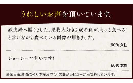 これぞ甘熟 『 幸水 』 5kg ( 自家用 ) 2026年産 先行予約 フルーツ 果物 国産 日本産 梨 ナシ なし 和梨 [DJ001ci]