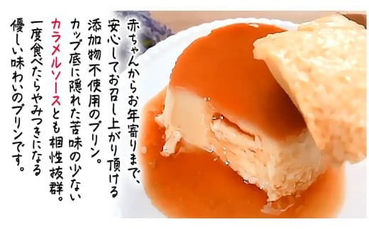 【 ODEKAKE LADY 】 レトロプリン 6個 セット 贅沢 平飼い卵 昔プリン ぷりん 洋菓子 お菓子 スイーツ デザート [BW068ci]
