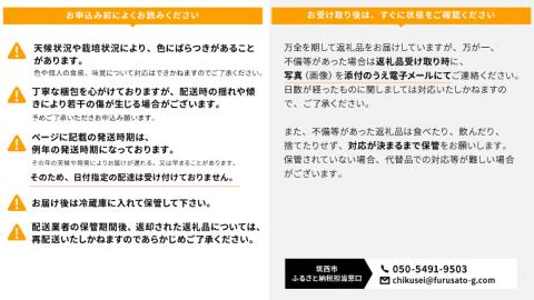 【先行予約】希少な新品種 天恵（9月中旬より順次発送） ぶどう 葡萄[AH004ci]