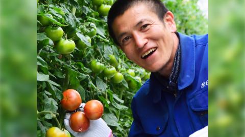 先行予約 【定期便】 3kg×3箱× 3回お届け！ スーパーフルーツトマト大箱 【大玉 20〜35玉/1箱】糖度9度以上[AF042ci]