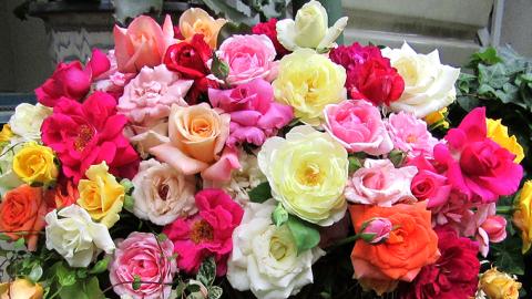 バラ「香りのバラアレンジメント」（バラ風呂・バラジャム対応）[BN004ci]