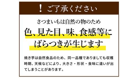 【 塚田商店 】訳あり 茨城県産 紅はるか 焼いも ( 冷凍 ) Sサイズ 1kg (500g × 2袋 ) さつまいも サツマイモ いも 芋 イモ 規格外 不揃い [BD010ci]