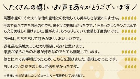 茨城県 筑西市産 コシヒカリ 15kg （ 5kg × 3袋 ） 三ツ星 マイスター 米 コメ こしひかり 単一米 精米 [CH013ci]
