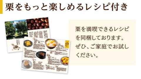 【 吉原農場 の 完熟栗 】 熟成 栗 お楽しみ セット ( 生栗 3Lサイズ ) 令和7年産 完熟 生栗 生むき栗 焼き栗 くり クリ 栗ごはん 贈答 ギフト 果物 フルーツ 数量限定 旬 秋 冬 正月 おせち [CX016ci]