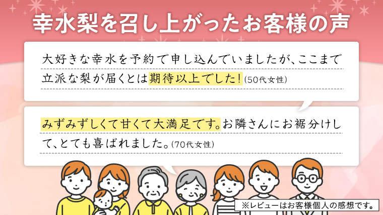 【 JA 北つくば 】 筑西ブランド 認証品 幸水 10kg 2026年産 先行予約 梨 果物 フルーツ なし ナシ 幸水梨 くだもの デザート 茨城 [AE009ci]