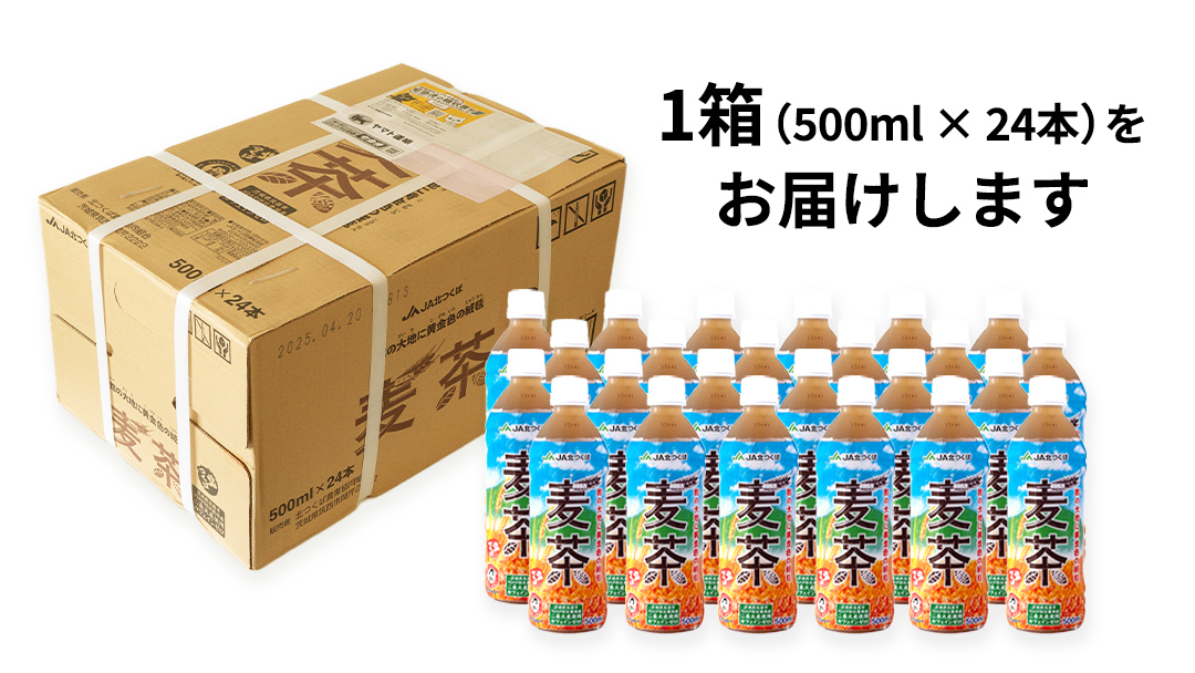 スピード発送!!【 JA 北つくば 】 JGAP認証 麦茶 1箱 ( 500ml × 24本 ) JGAP JA お茶 茶 ペットボトル 麦 大麦 二条大麦 ノンカフェイン カフェインゼロ スピード配送 [AE020ci]