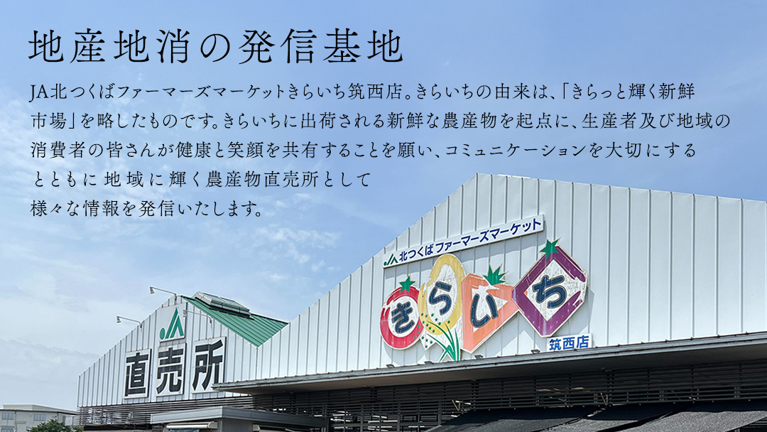 【 JA北つくば 】 ローズポーク ロース切身 600g ( 100g × 6枚入り ) ブランド豚 銘柄豚 豚肉 豚 肉 お肉 にく 厚切り とんかつ ポークソテー トンテキ 焼肉 バーベキュー ギフト 贈答 贈り物 茨城県共通返礼品 [AE036ci]