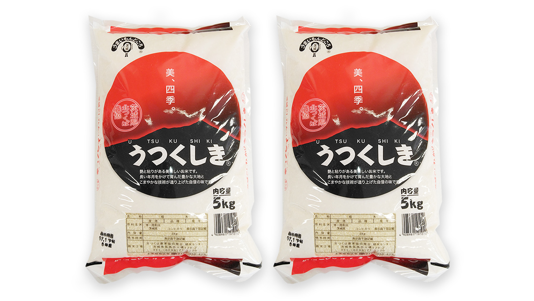 スピード発送!!【 JA 北つくば オリジナル ブランド米 】 うつくしき 10kg ( コシヒカリ ) ( 5kg × 2袋 ) 令和6年産 農協 JA 米 お米 白米 コメ こしひかり 茨城県 精米 新生活 応援 スピード配送 [AE045ci]