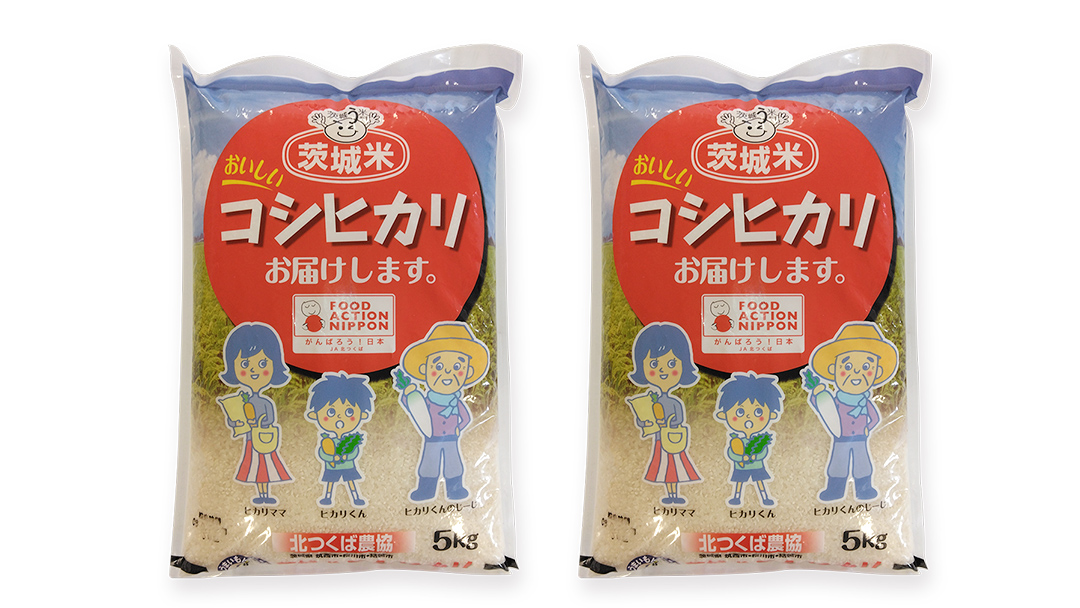 【 定期便 6ヶ月 】 JA北つくば 茨城県産 コシヒカリ 10kg ( 5kg × 2袋 ) 令和6年産 農協 JA 米 お米 白米 コメ こしひかり 茨城県 精米 新生活 応援 [AE049ci]