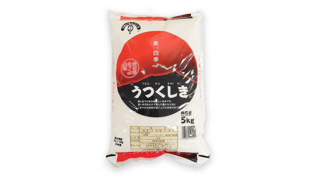 【 定期便 6ヶ月 】 JA北つくば オリジナル ブランド米 「 うつくしき 」 5kg ( コシヒカリ )  令和6年産 農協 JA 米 お米 白米 コメ こしひかり 茨城県 精米 新生活 応援 [AE051ci]