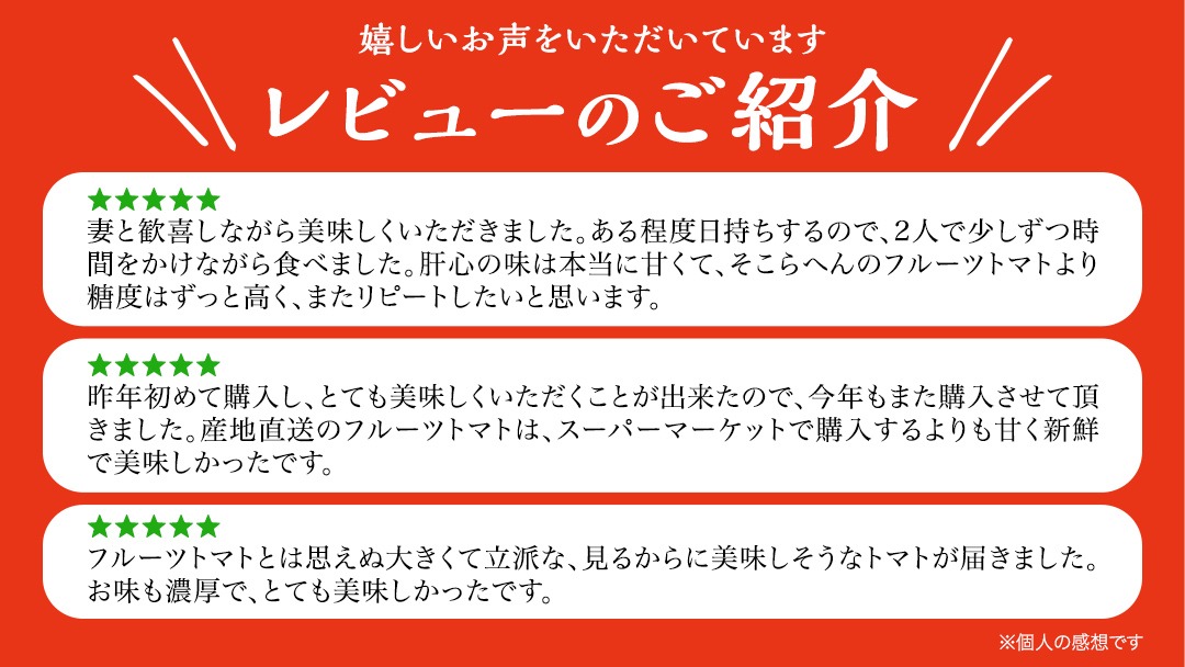 【 先行予約 】【 3ヶ月 定期便 】 てるて姫 小箱 約800g × 1箱 【7～13玉/1箱】 2026年産 糖度9度 以上 野菜 フルーツトマト フルーツ トマト とまと [AF052ci]