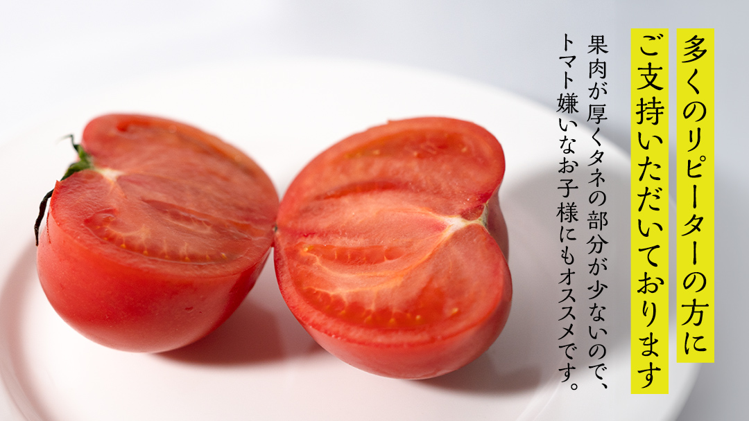 スーパーフルーツトマト 大箱 約2.6kg × 1箱 【大玉 20～35玉】 2026年産 野菜ソムリエサミット 金賞 糖度9度 以上 野菜 フルーツトマト フルーツ トマト とまと [AF063ci]