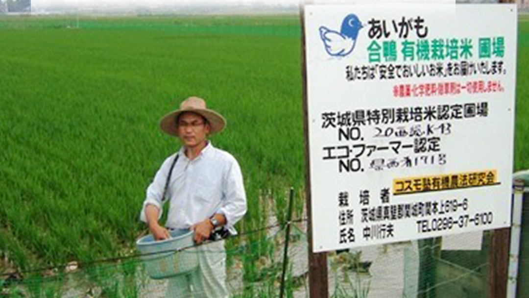 愛がも米 「 コシヒカリ 」 2kg ( 精米 ) 令和7年産 除草剤不使用 農薬不使用 化学肥料不使用 米 コメ こめ こしひかり [AI001ci]