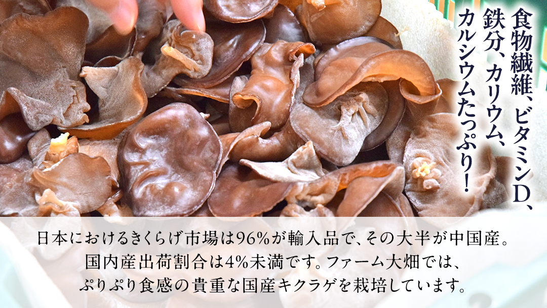 【 ファーム大畑 】お楽しみセット 米 お米 しいたけパウダー しいたけ 椎茸 まろ福しいたけ きくらげ [AK001ci]