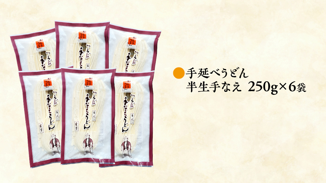手延べうどん 半生手なえ 6袋 ( 12人前 ) 麺 めん 半生 [BE009ci]