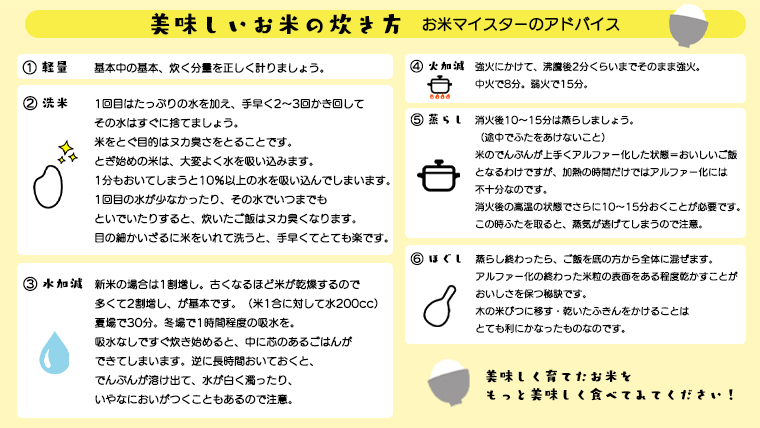 スピード発送!! 茨城県 筑西市産 コシヒカリ 10kg ( 5kg × 2袋 ) 令和7年産 新米 三ツ星 マイスター 米 コメ こしひかり 単一米 精米 スピード配送 [CH004ci]