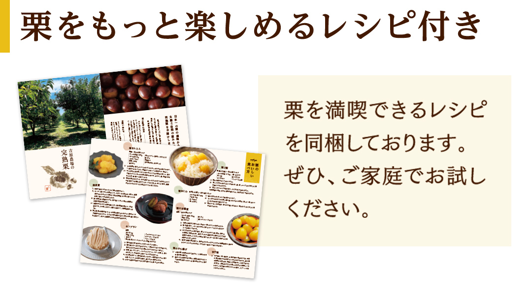 【 吉原農場 の 完熟栗 】 熟成 生栗 2kg 3Lサイズ 令和7年産 完熟 栗 くり クリ 栗ごはん 贈答 ギフト 果物 フルーツ 数量限定 旬 秋 冬 正月 おせち [CX005ci]