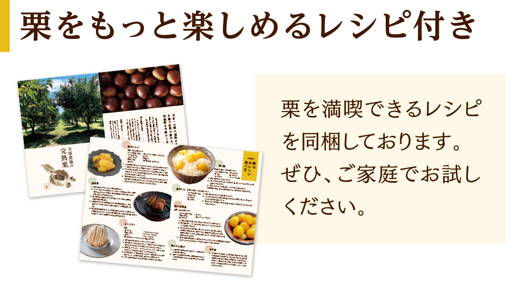 【 吉原農場 の 完熟栗 】 熟成 生栗 1kg 2Lサイズ ・ 生むき栗 3袋 セット 令和7年産 完熟 栗 くり クリ 栗ごはん 贈答 ギフト 果物 フルーツ 数量限定 旬 秋 冬 正月 おせち [CX011ci]