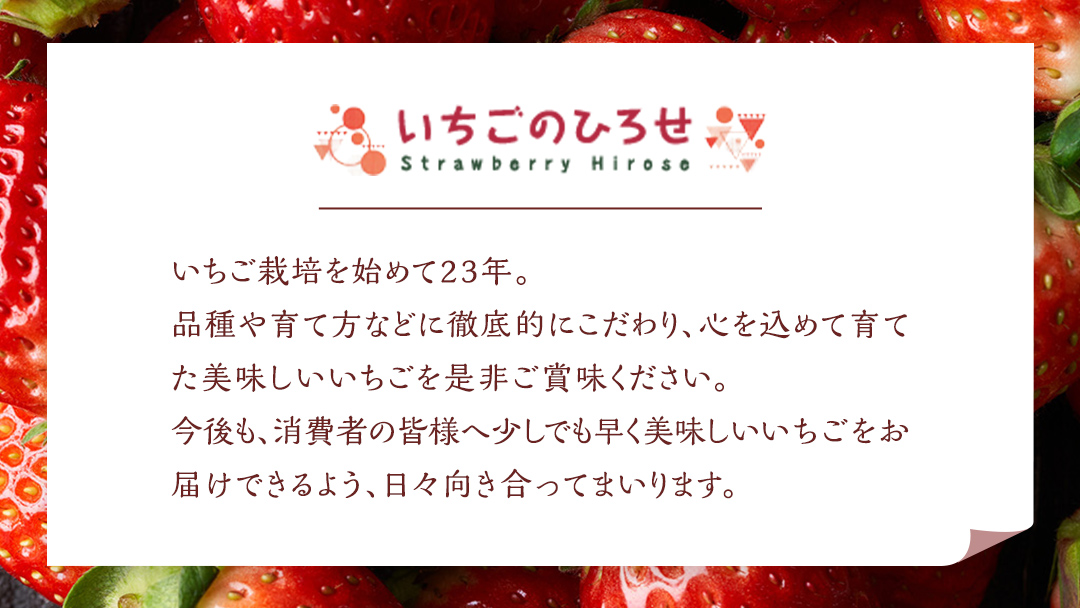 【 茨城いちごグランプリ 受賞 農園 】 完熟 ひたち姫 4パック 茨城県オリジナル品種 イチゴ 苺 フルーツ 果物 果実 [DY004ci]