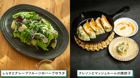 【 先行予約 】 みくにクレソン100g×5袋 美容 健康 野菜 スーパーフード クレソン [CY001ci]