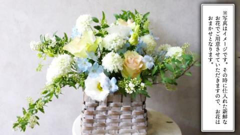 【 6ヶ月 定期便 】 癒し の フラワー セラピー アレンジメント Mサイズ お花 花 はな アレンジ リラックス リフレッシュ ストレス [CT124ci]