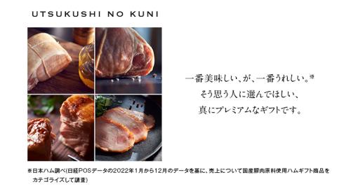 【 お歳暮 熨斗付 】 日本ハム 美ノ国 ギフトセットB 肉 にく 贈答 ギフト 詰め合わせ ハム 生ハム ロース ステーキ ベーコン [AA075ci]