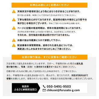 【先行予約】超大玉フルーツトマト大箱 3kg ×3箱【14～18玉/1箱】糖度7度以上[AF076ci]