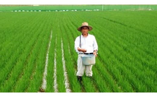 愛がも米 「 コシヒカリ 」 2kg ( 玄米 ) 米 コメ こめ こしひかり 令和7年産 除草剤不使用 農薬不使用 化学肥料不使用 [AI003ci]