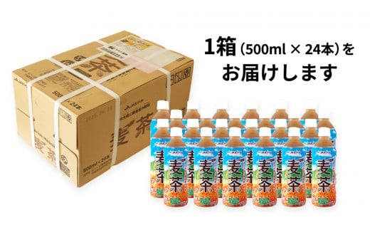 【 3ヶ月 定期便 】  JA北つくば JGAP認証 麦茶 1箱 ( 500ml × 24本 ) JGAP JA お茶 茶 ペットボトル 麦 大麦 二条大麦 ノンカフェイン カフェインゼロ [AE021ci]